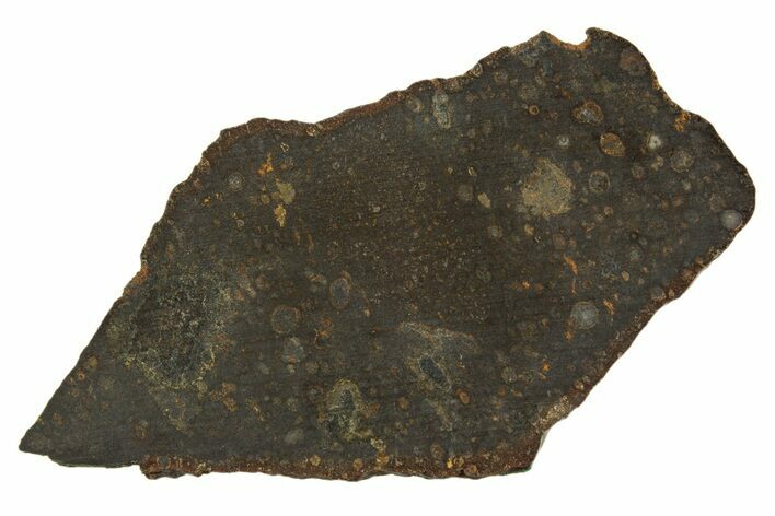 Carbonaceous Chondrite Meteorite ( g) Slice - NWA #308384